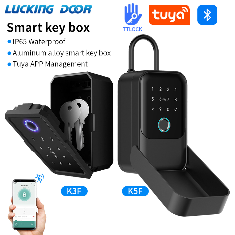 Tuya Smart Life App or TTLock  - Lockbox Key Secure recension och pris