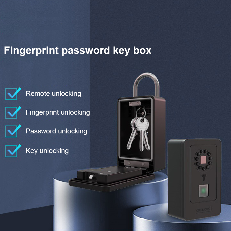 Intelligent Padlock Hang Desig - Lockbox Key Secure recension och pris